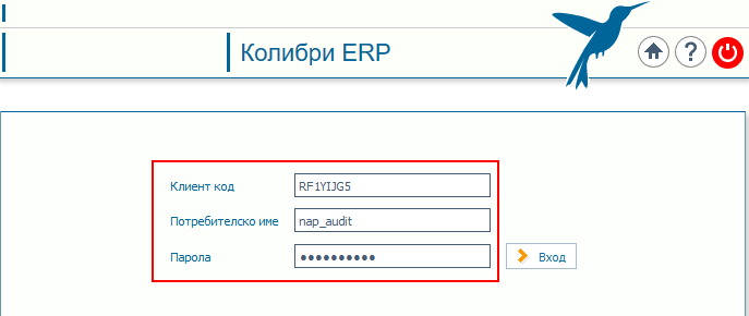 Вход в системата с данните за одиторския акаунт от формуляра - Пример